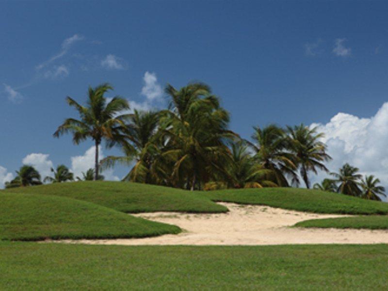 סן-פרנסואה Bwa Chik Hotel & Golf מראה חיצוני תמונה